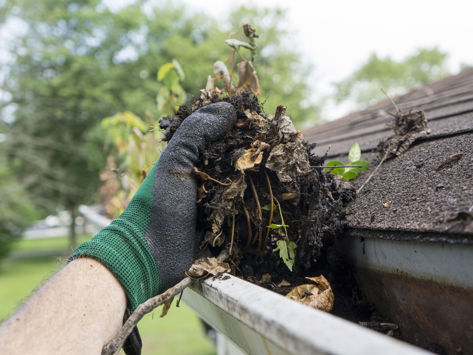 gutter cleaning services gutter cleaning services