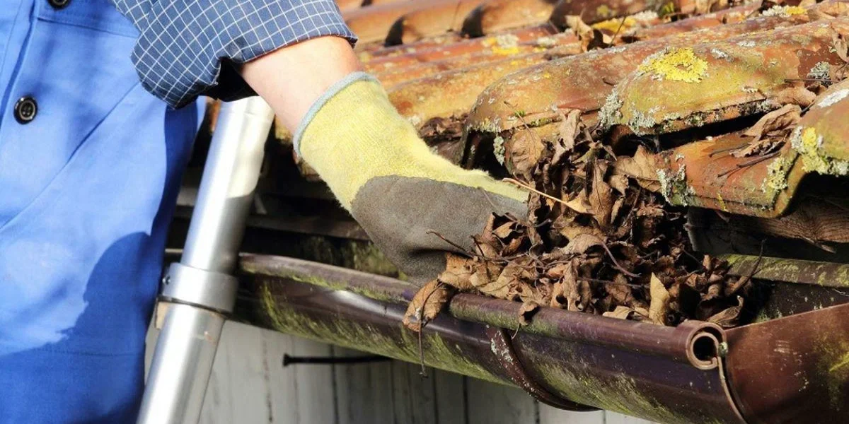 Gutter Cleaning Services