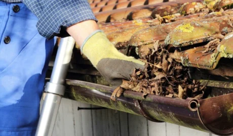 Gutter Cleaning Services