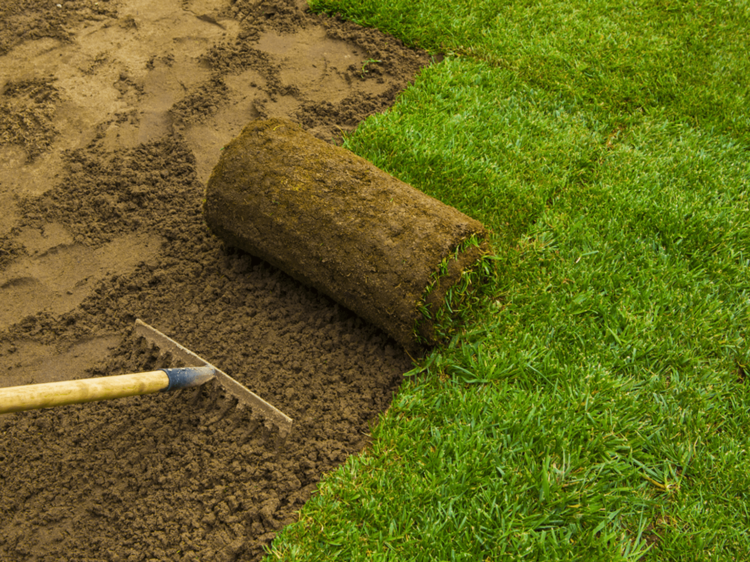 Layer 4 Sod installation
