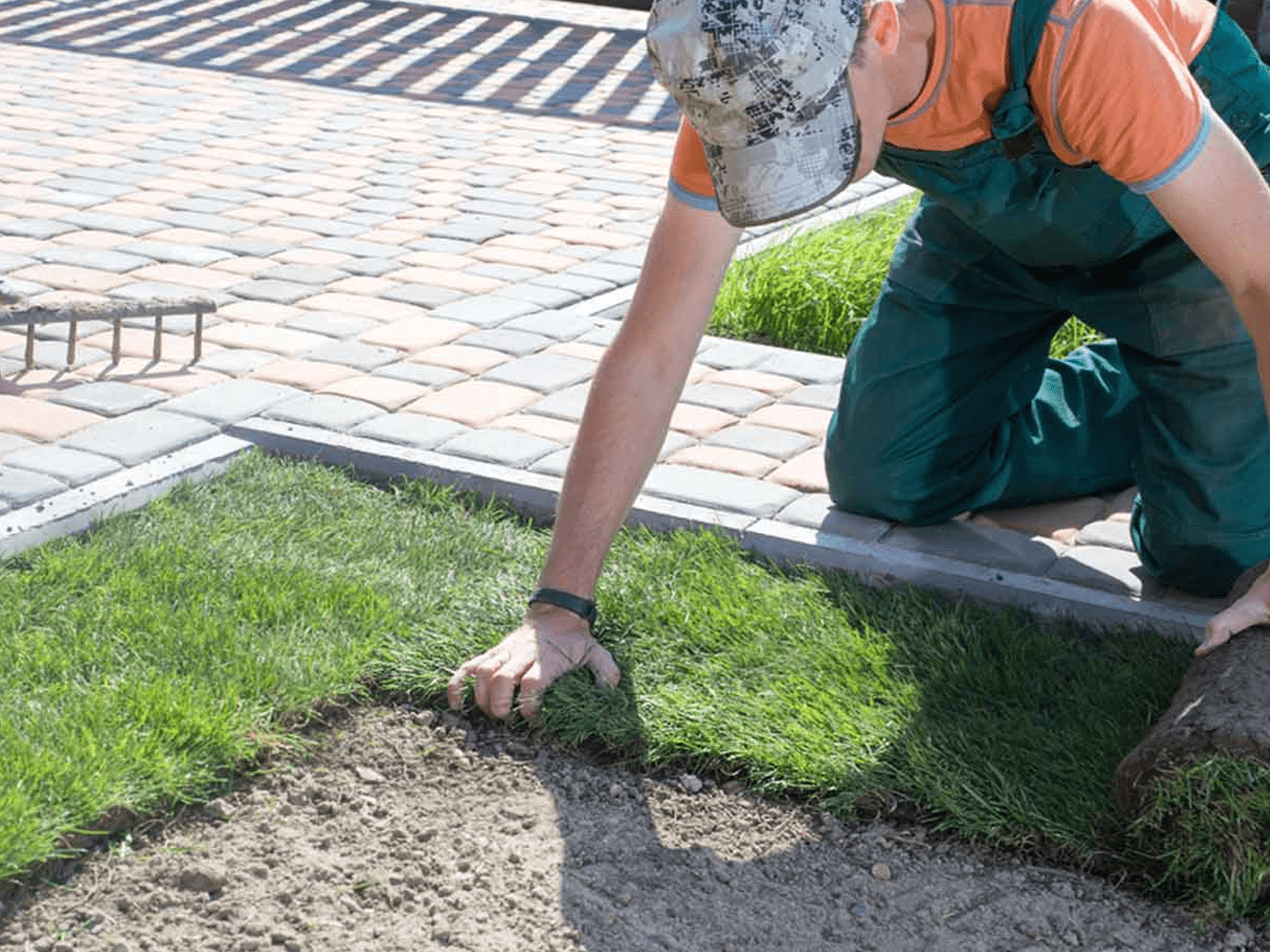 Sod installation Sod installation