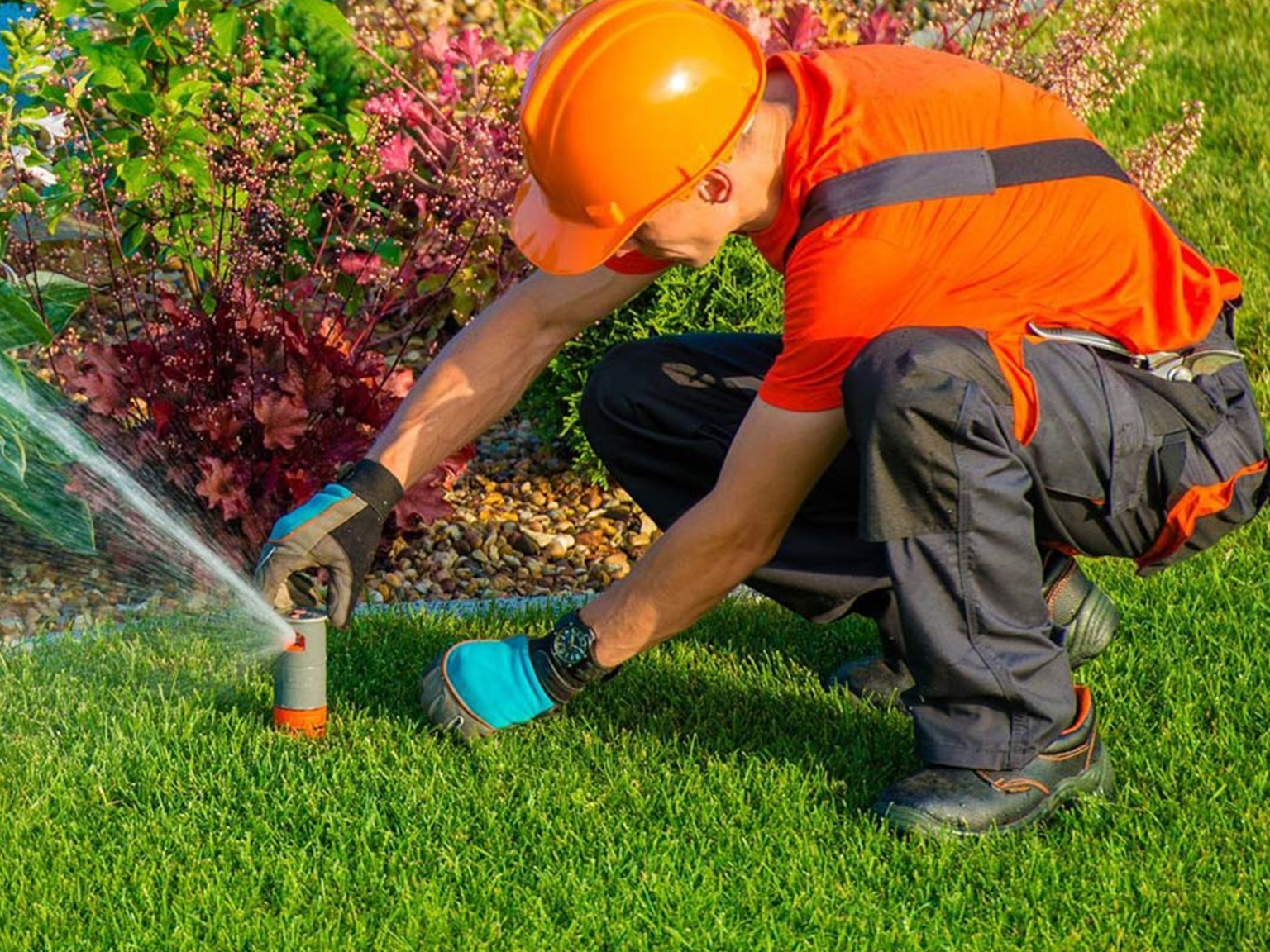 sprinkler system installation sprinkler system installation