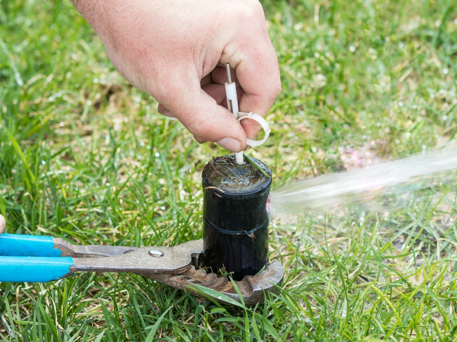 sprinkler system installation sprinkler system installation