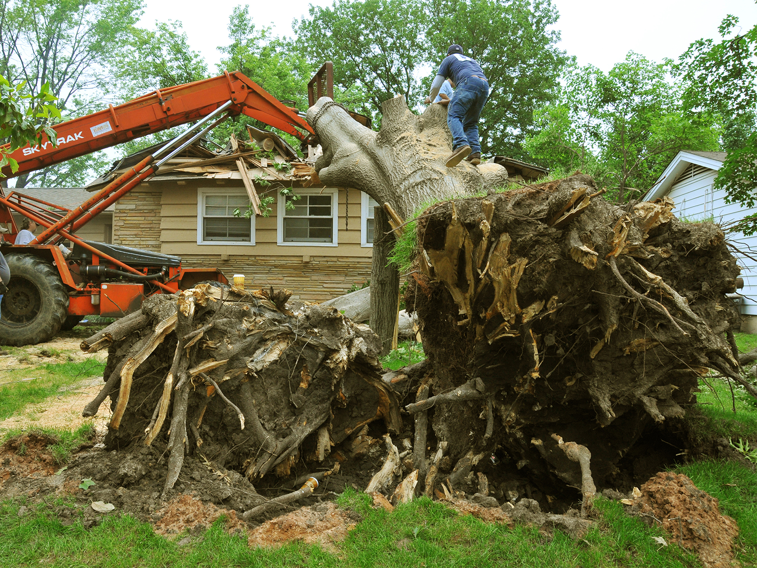 emergency tree services emergency tree services