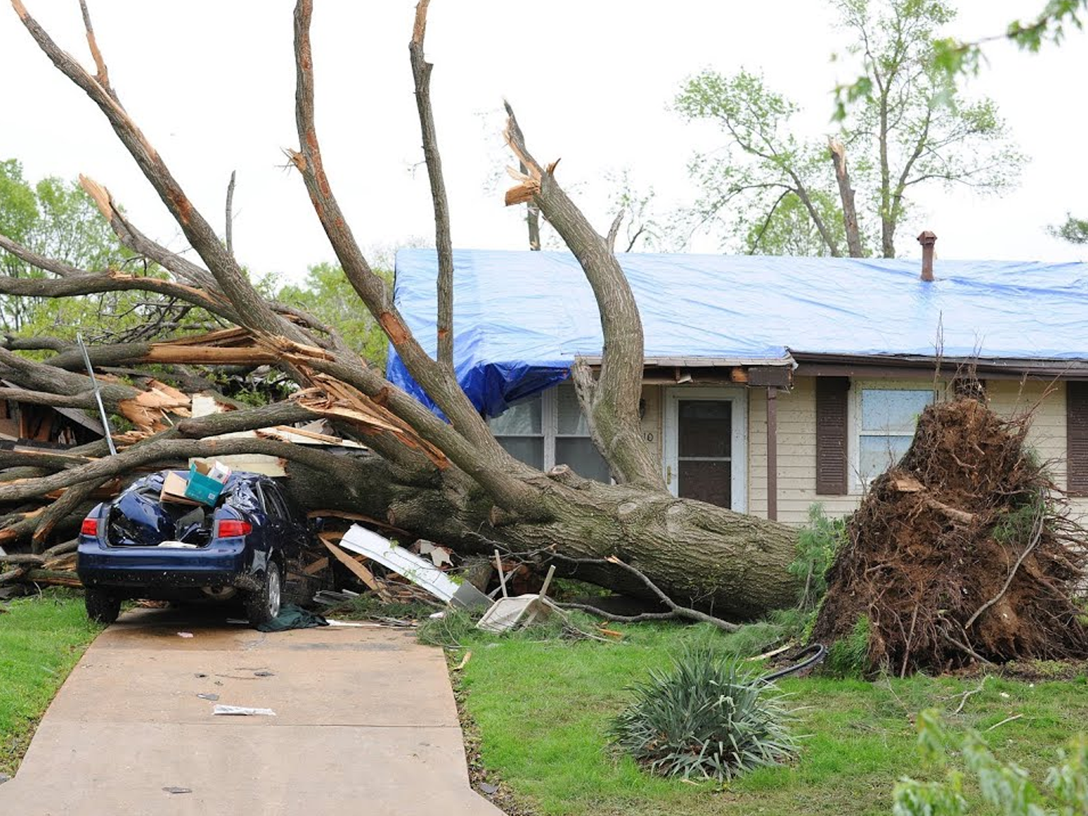 emergency tree services emergency tree services