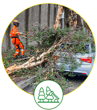 Emergency Tree Services